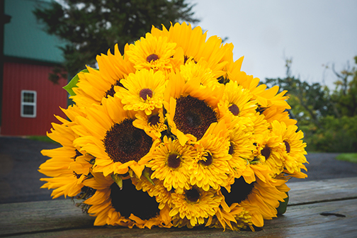 sunflowers, sunflower bouquet