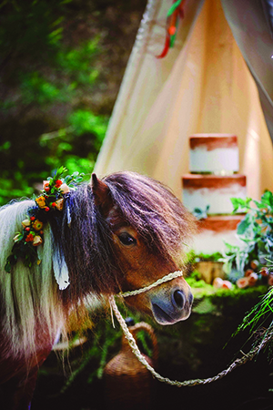 horse, pony, native, camp wedding