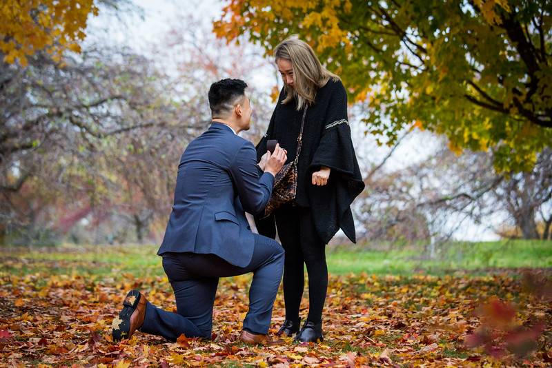engagement shoot, proposal, surprise proposal, fall proposal