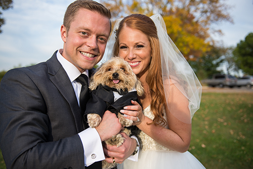 dog wedding, dog friendly wedding, dogs at weddings