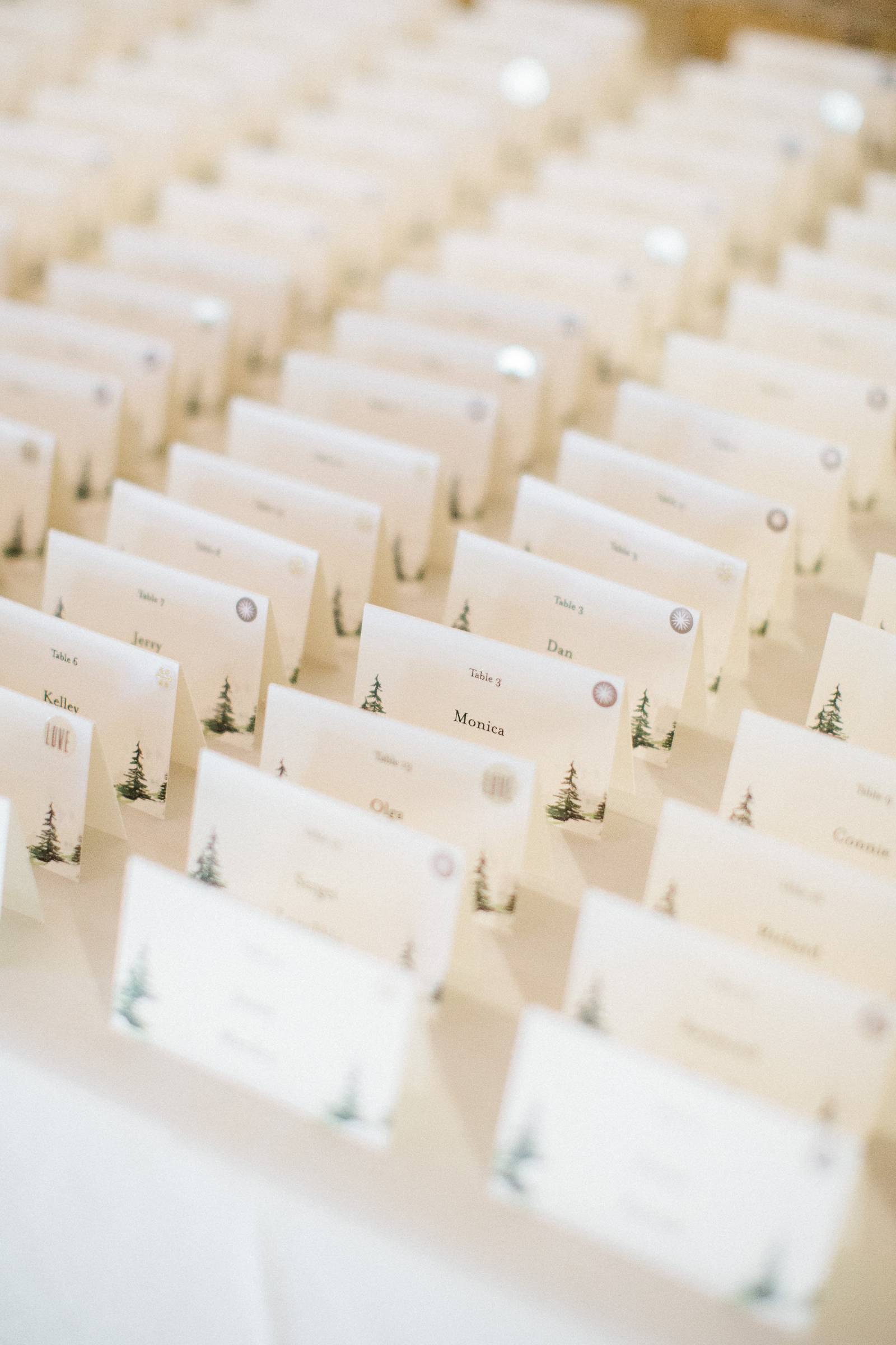 winter wedding place cards, winter wedding escrot cards, pine tree escort cards, pine tree place car