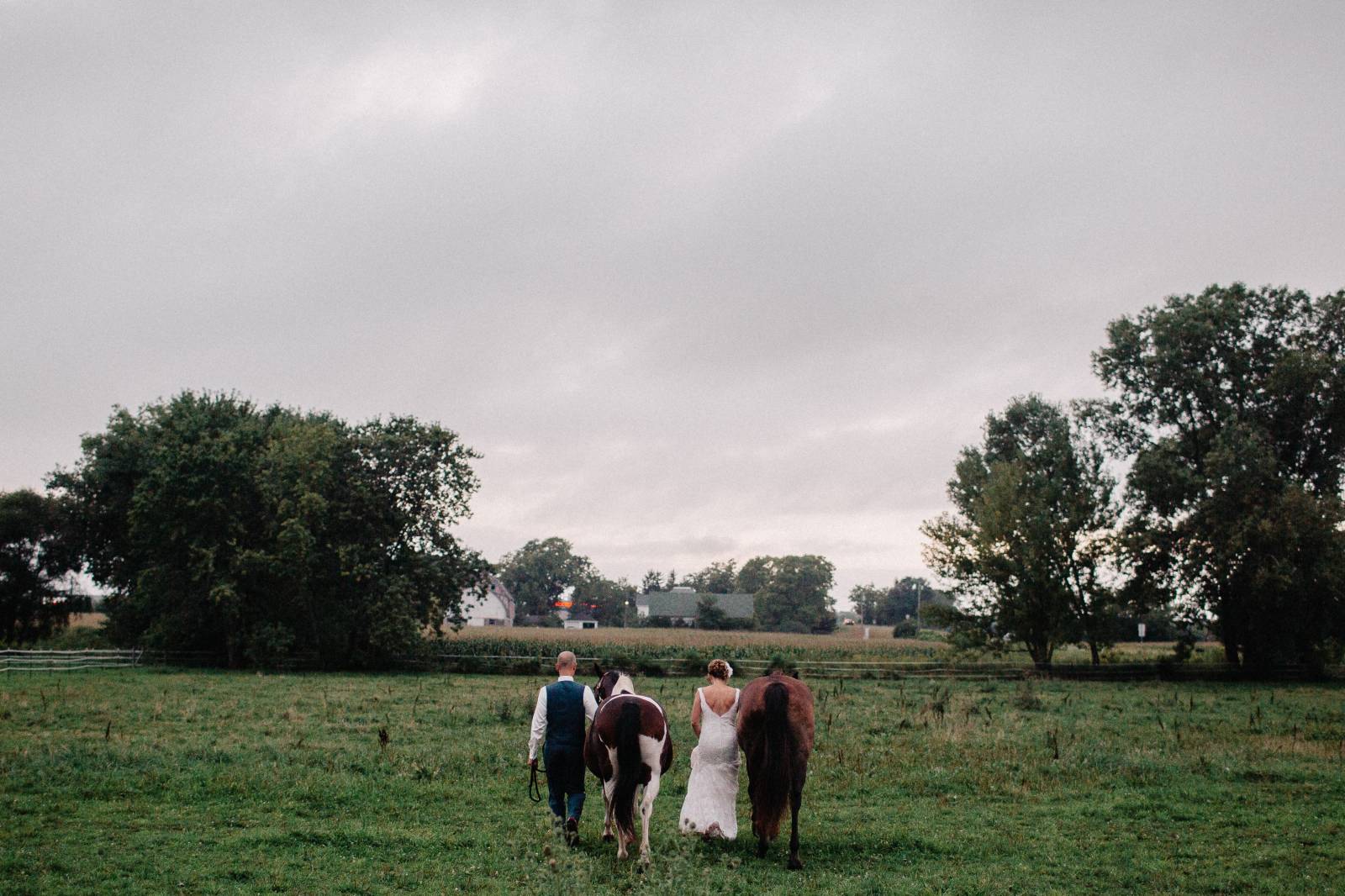 bride groom horse wedding, farm wedding, barn wedding wisconsin