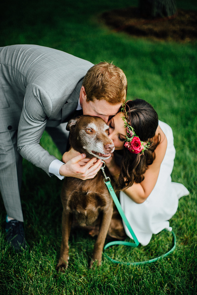 dog dogs pet friendly wedding portraits