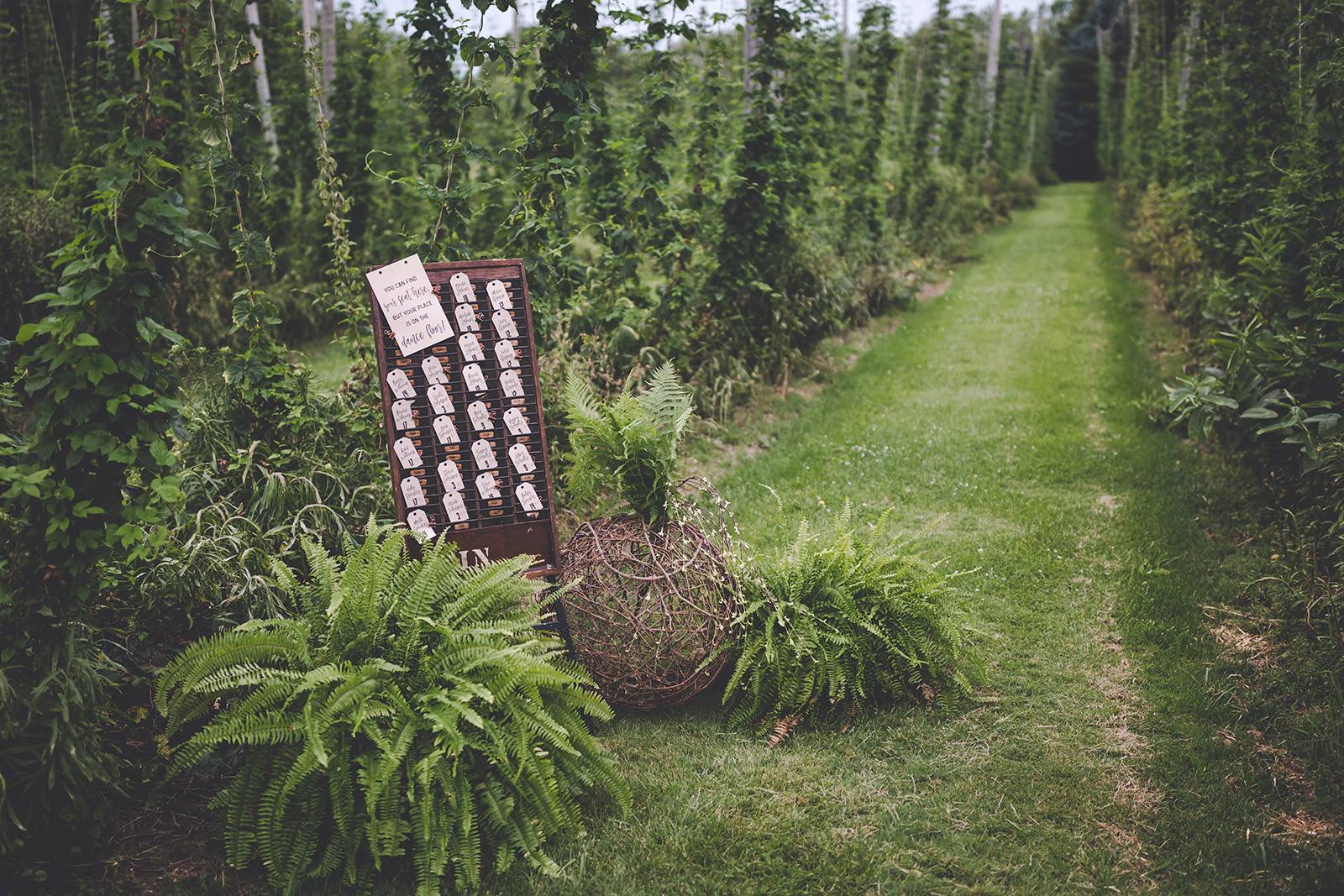 hops garden outdoor wedding escort card display seating chart assignment display place cards