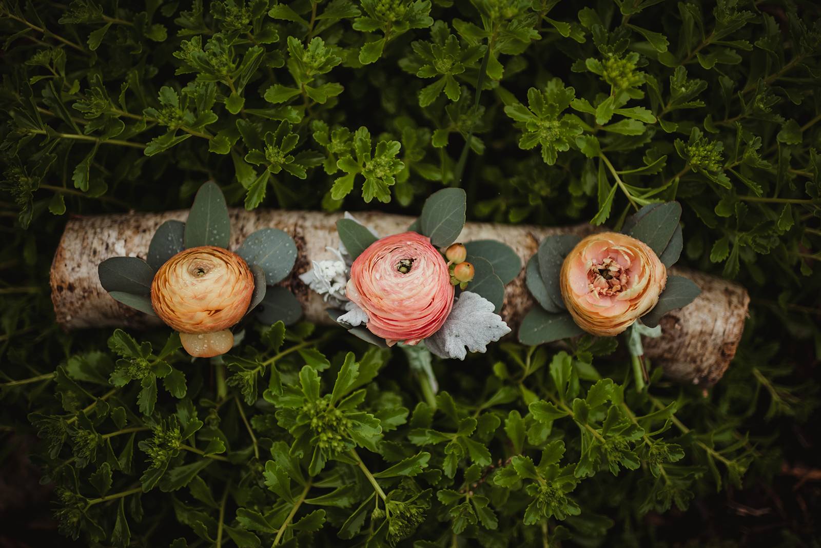 peach blush boutonnieres