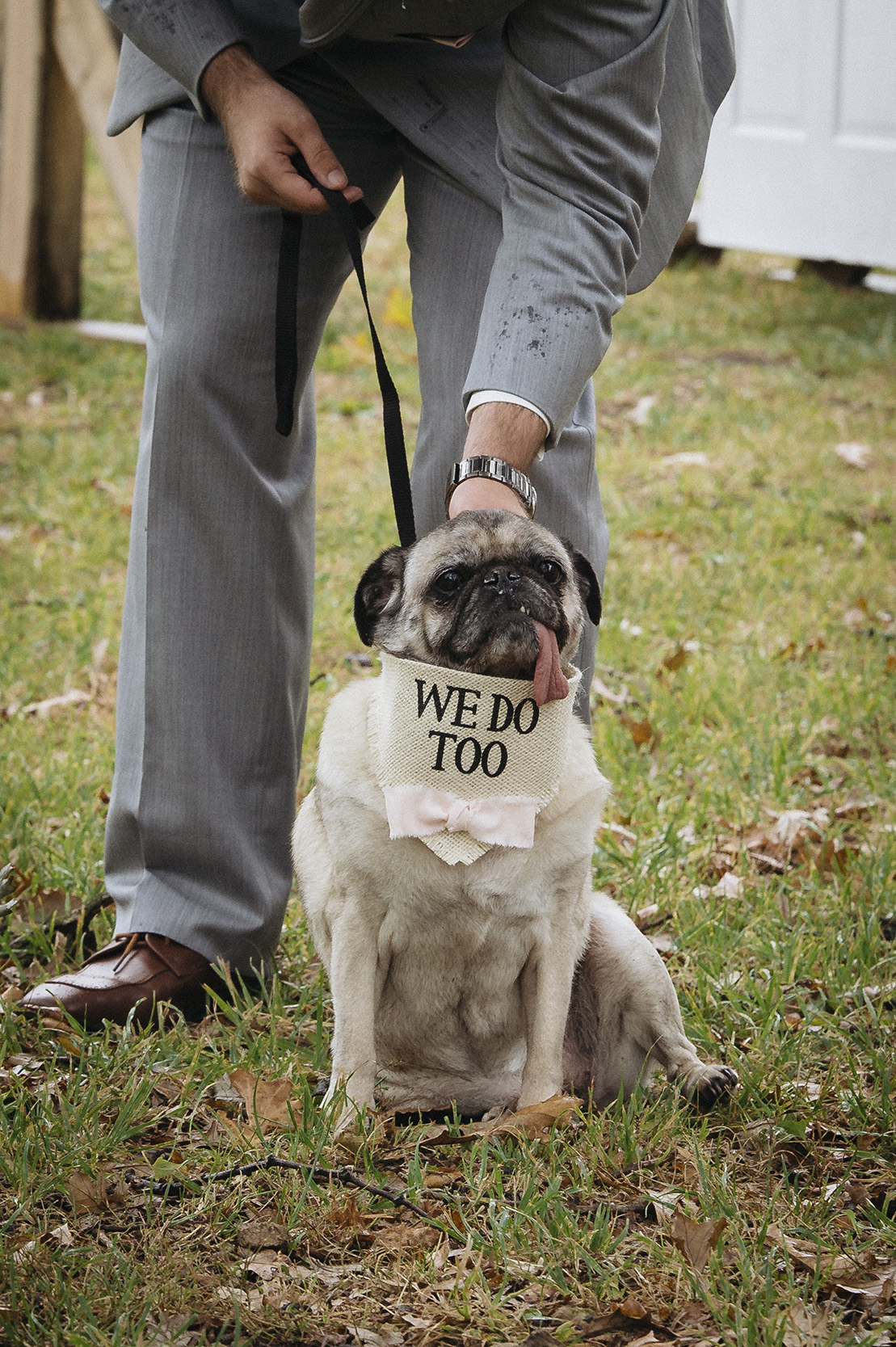 dog friendly wedding