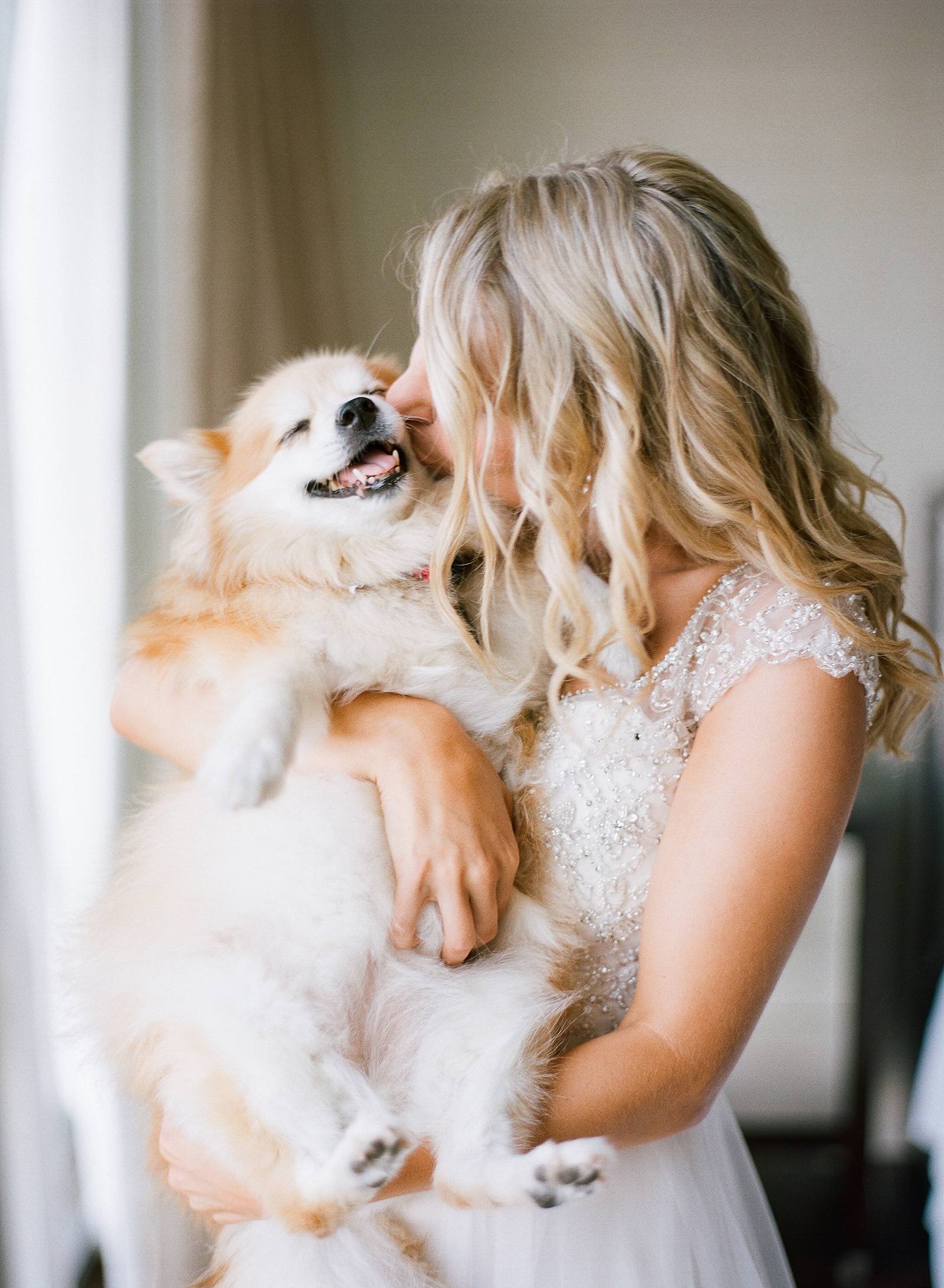 pet dog friendly wedding
