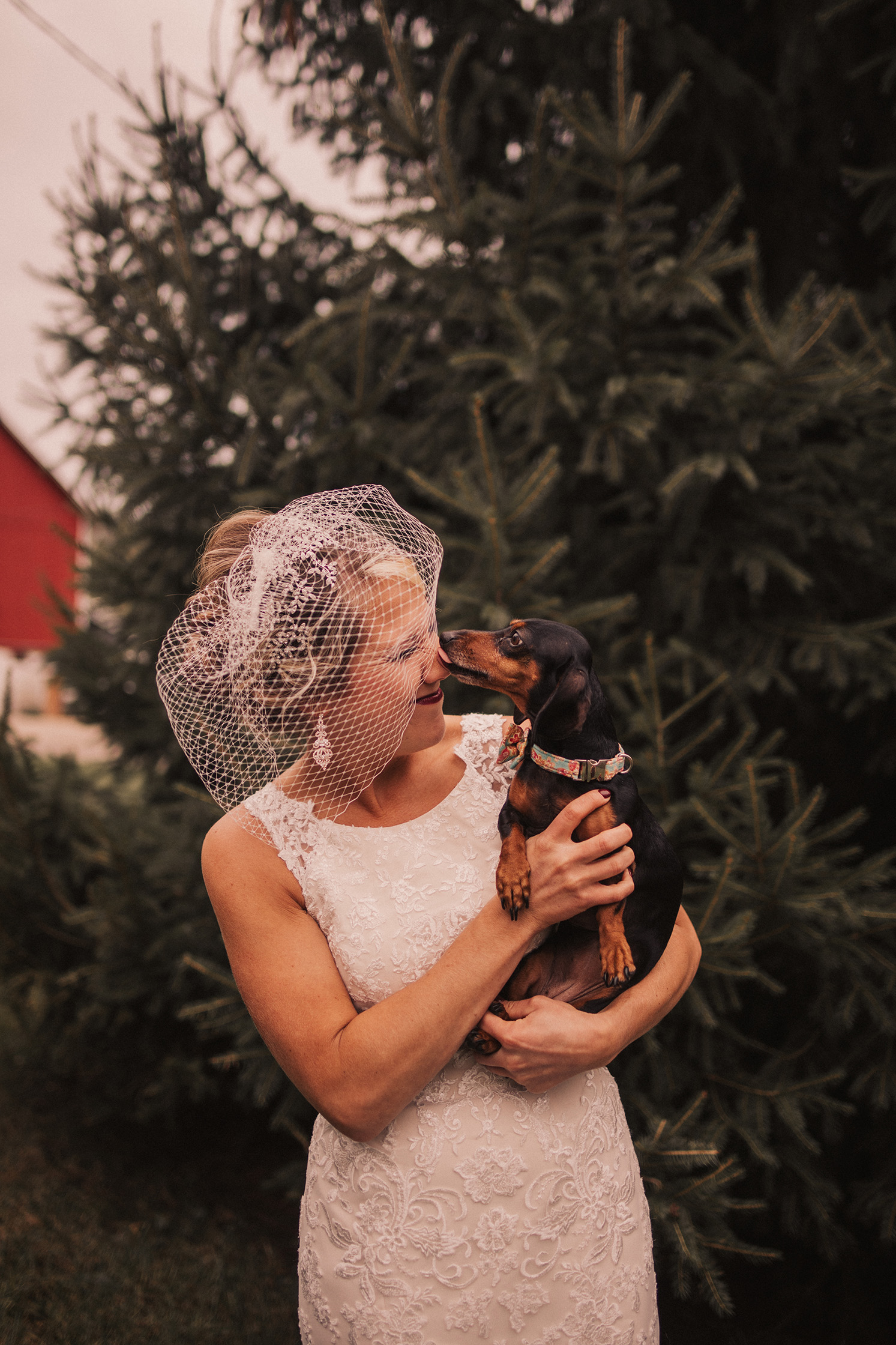 dog friendly wedding, pets at weddings, dogs