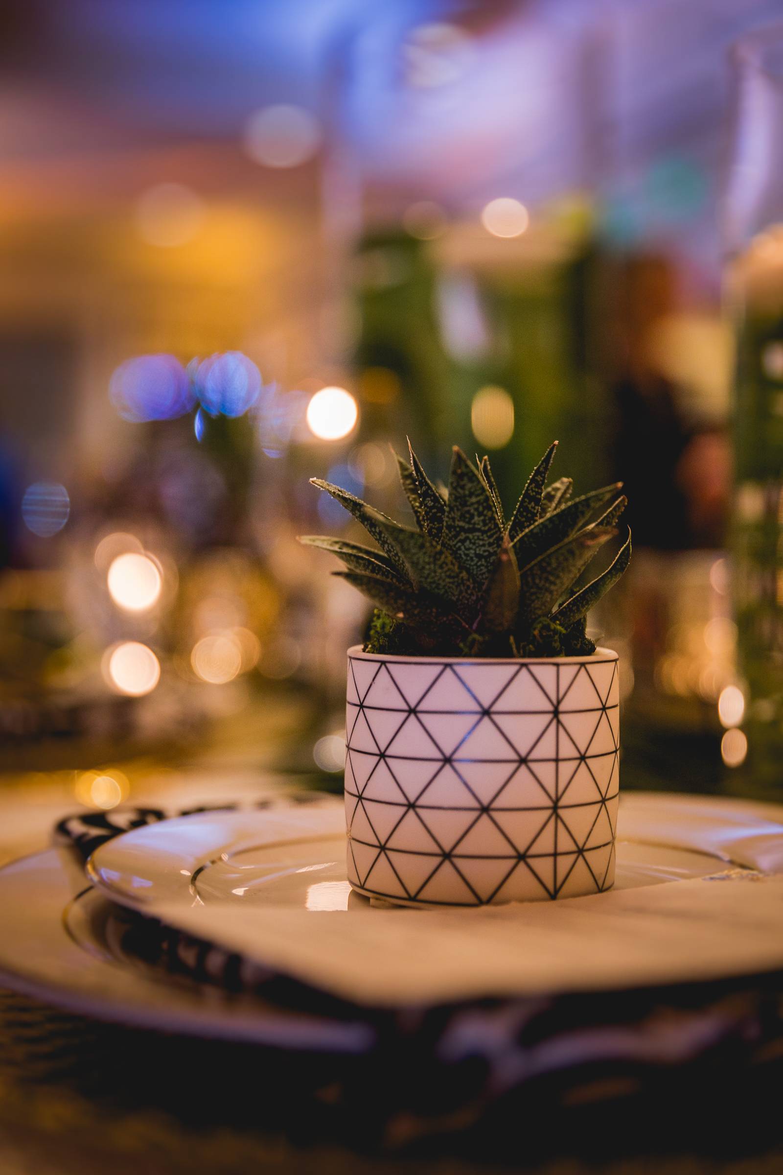 potted plants wedding trends 2019
