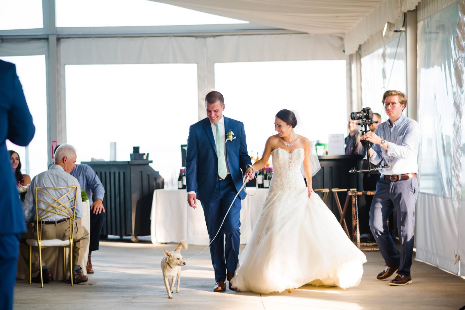 dog friendly wedding