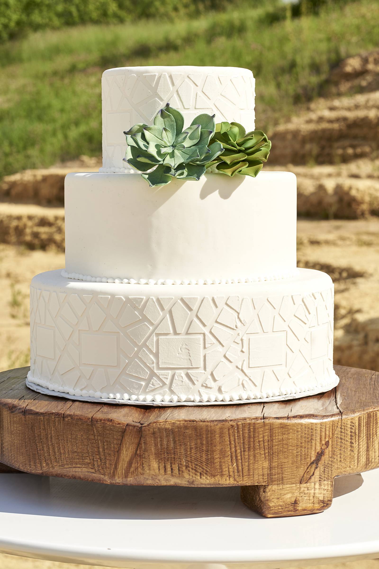 white succulent cake