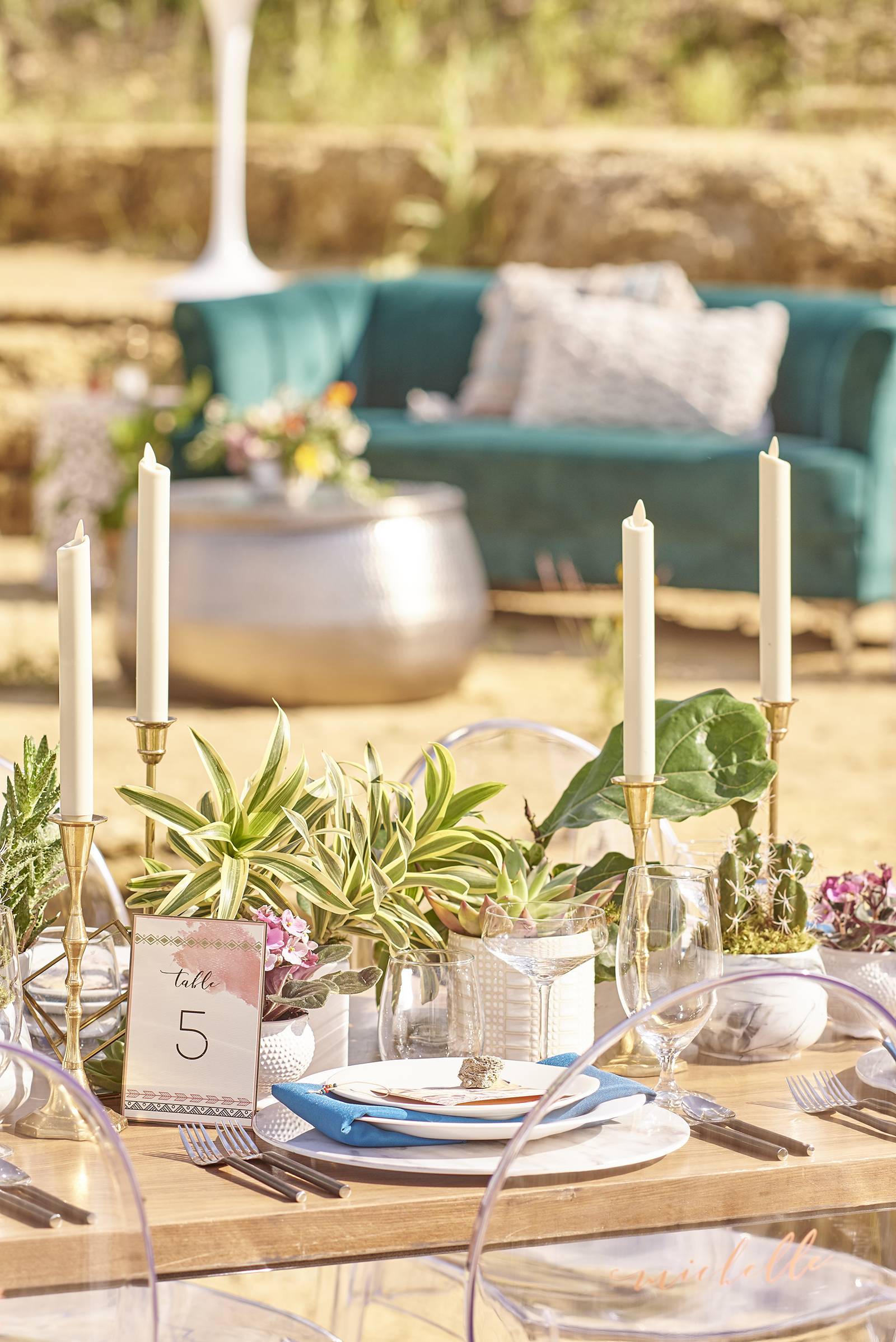 cactus desert minimalist wedding tablescape