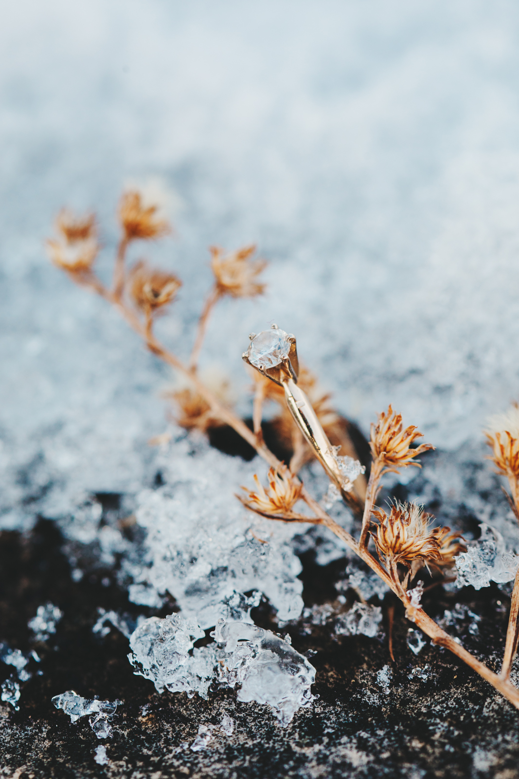 snow engagement, wisconsin engagement, winter engagement, ring