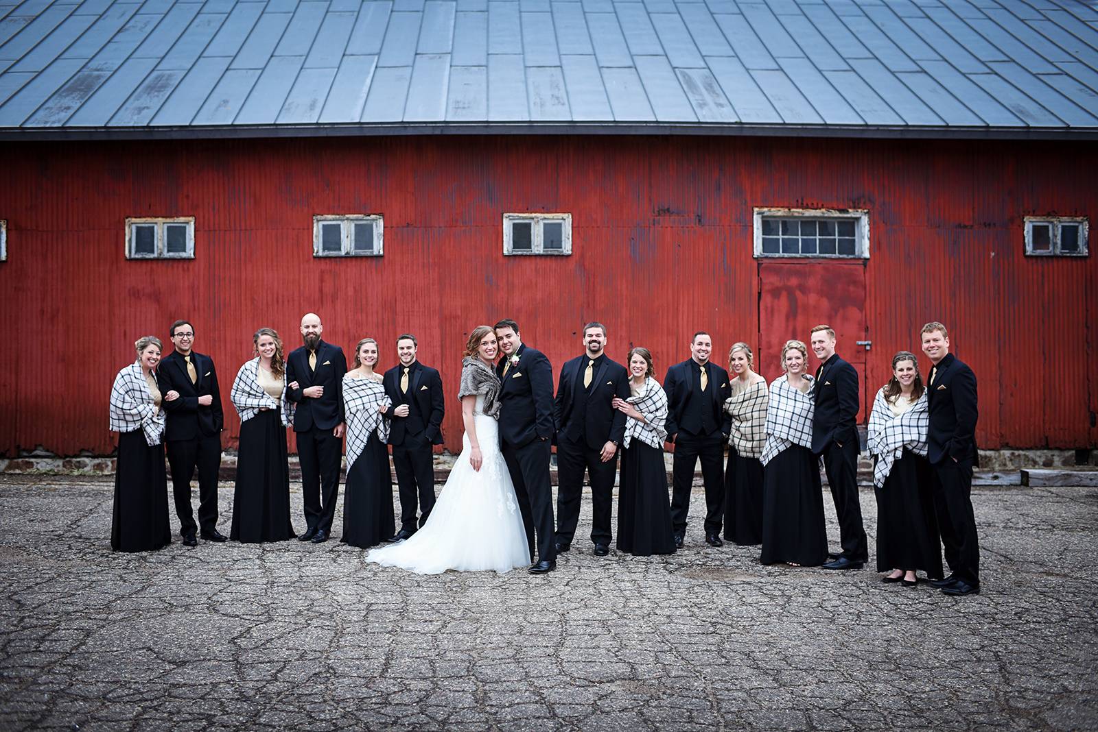 wedding party, bride, groom, bridesmaids, groomsmen