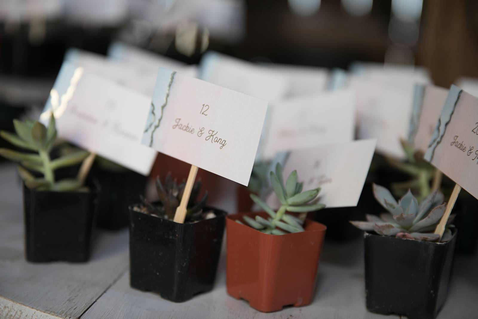 escort cards, name cards