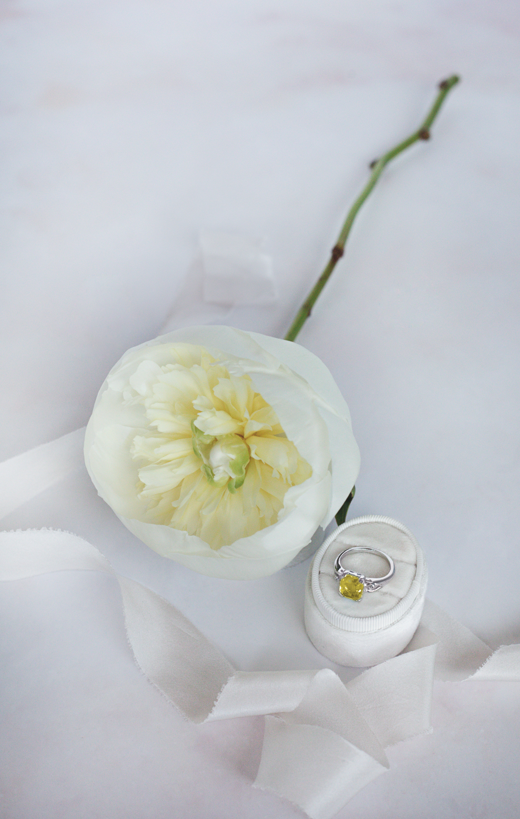 Peony, wedding flower