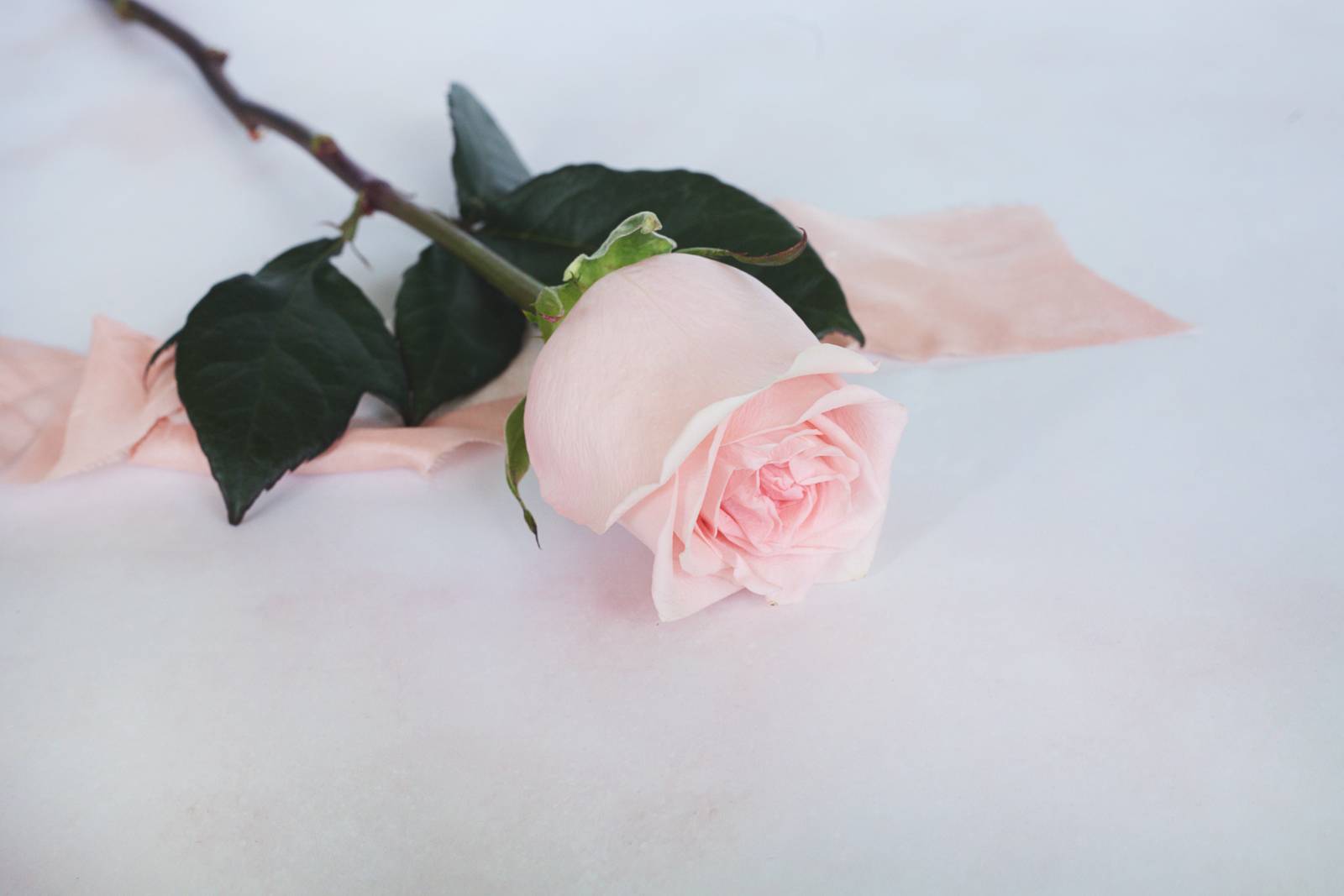 wedding flower, rose