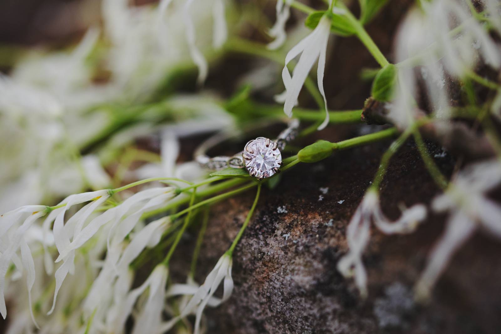 SOFT + WHIMSICAL SUNLIT ENGAGEMENT SESSION | ADITI+NICK | Wisconsin ...