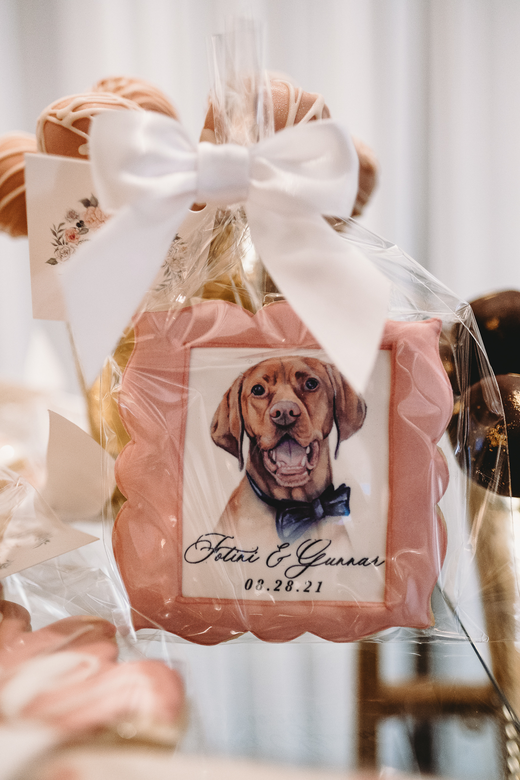 Pet Dog Wedding Cookie