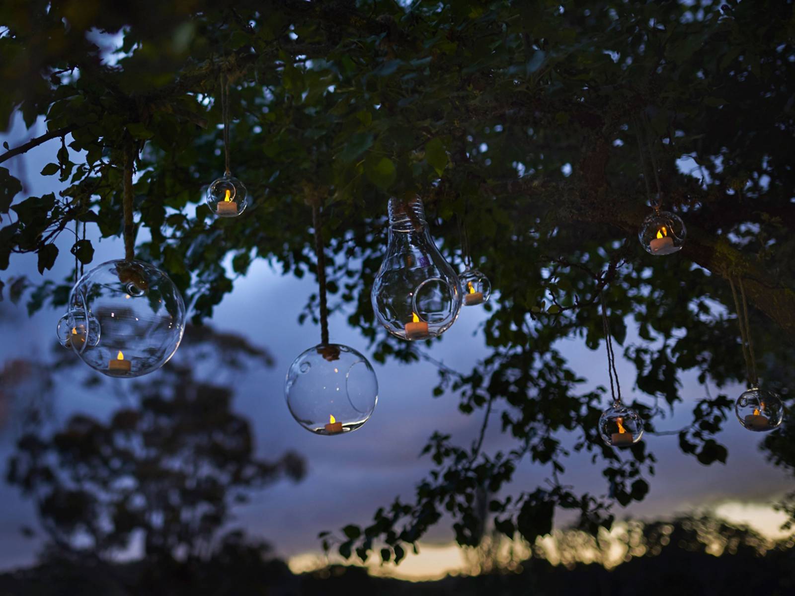Glass globes with tealight candles hanging from trees at sunset.