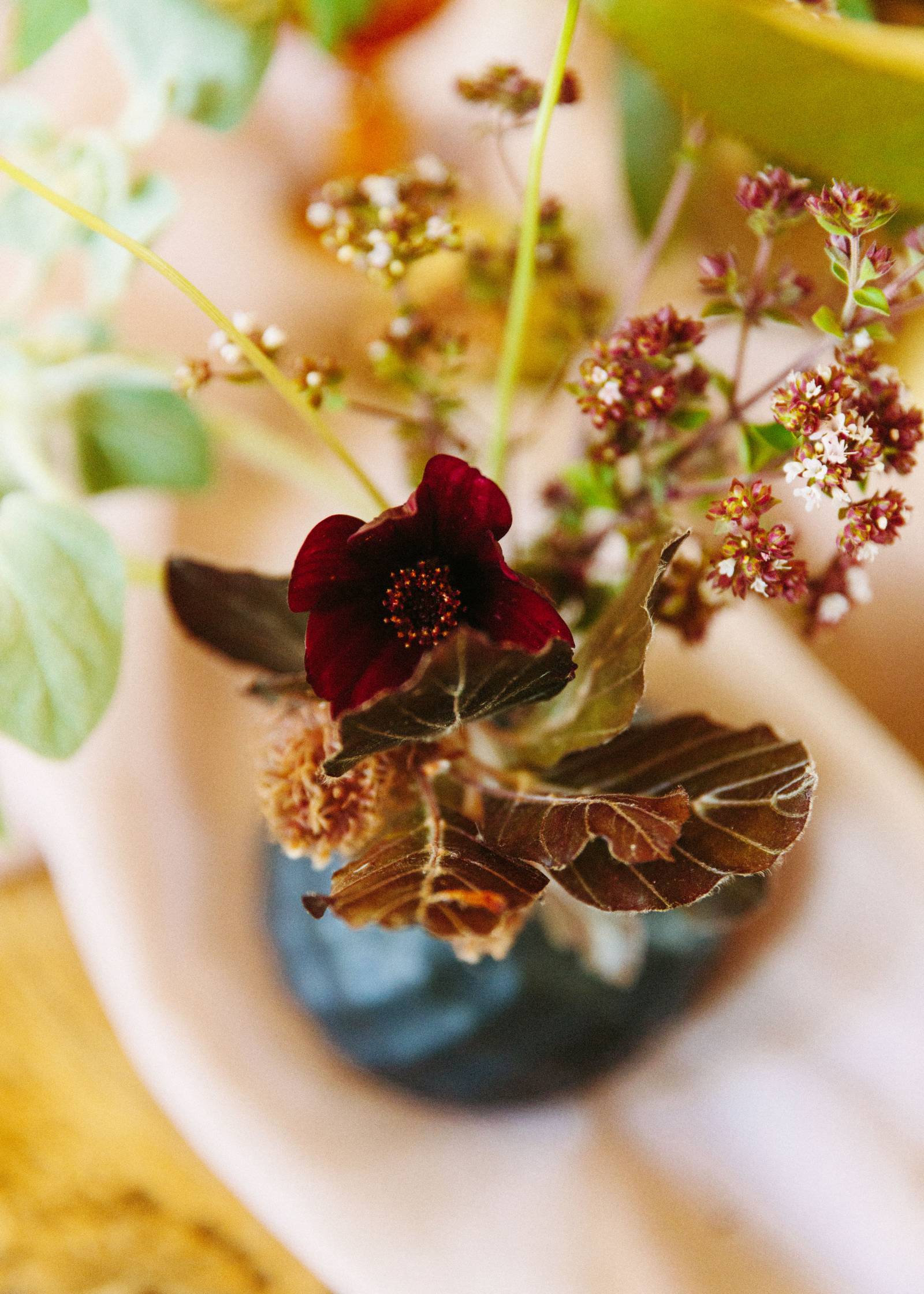 Small burgundy red flower arrangement in black vase