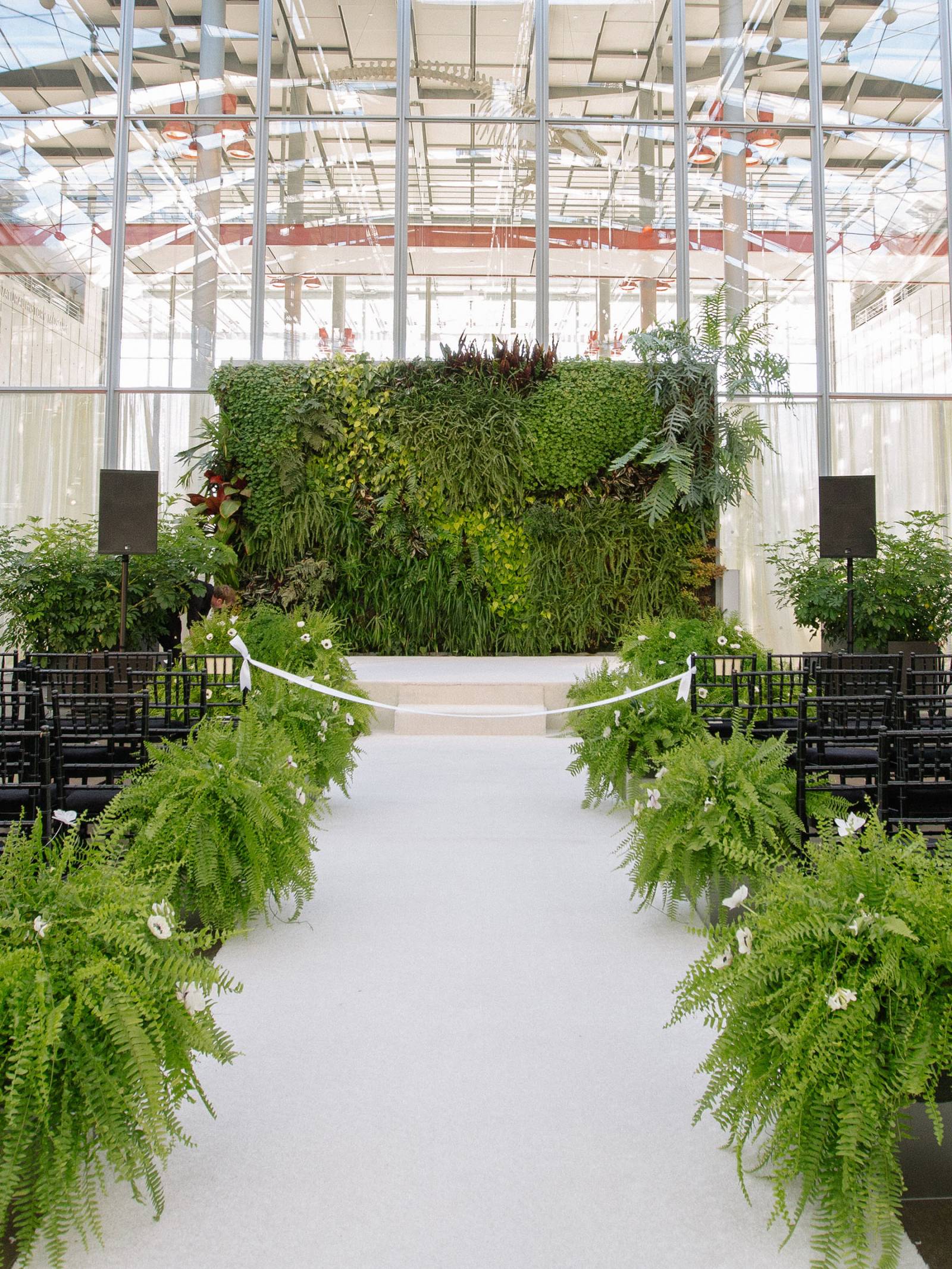 lush green ferns lining the ceremony aisle and black chiavari chairs