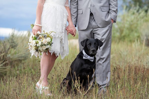 Elopement In Steamboat Springs Steamboat Springs Real