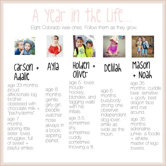 A Year in the Life...