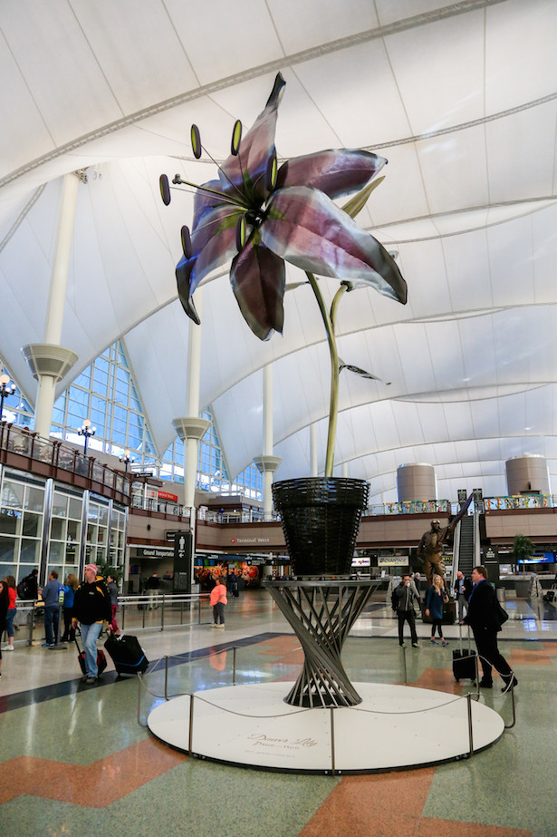 Price Davis Denver Lily.credit Denver International Airport