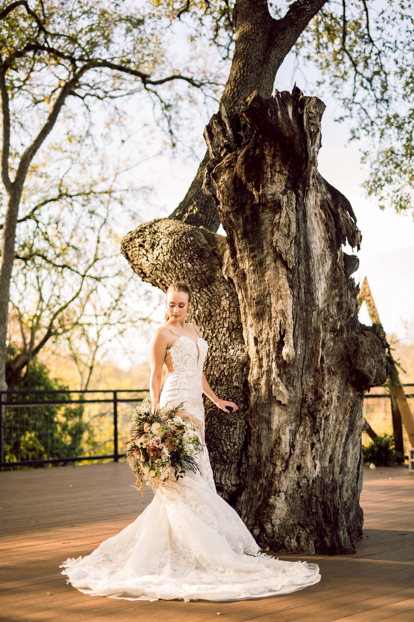 Bridal portrait by a large tree
