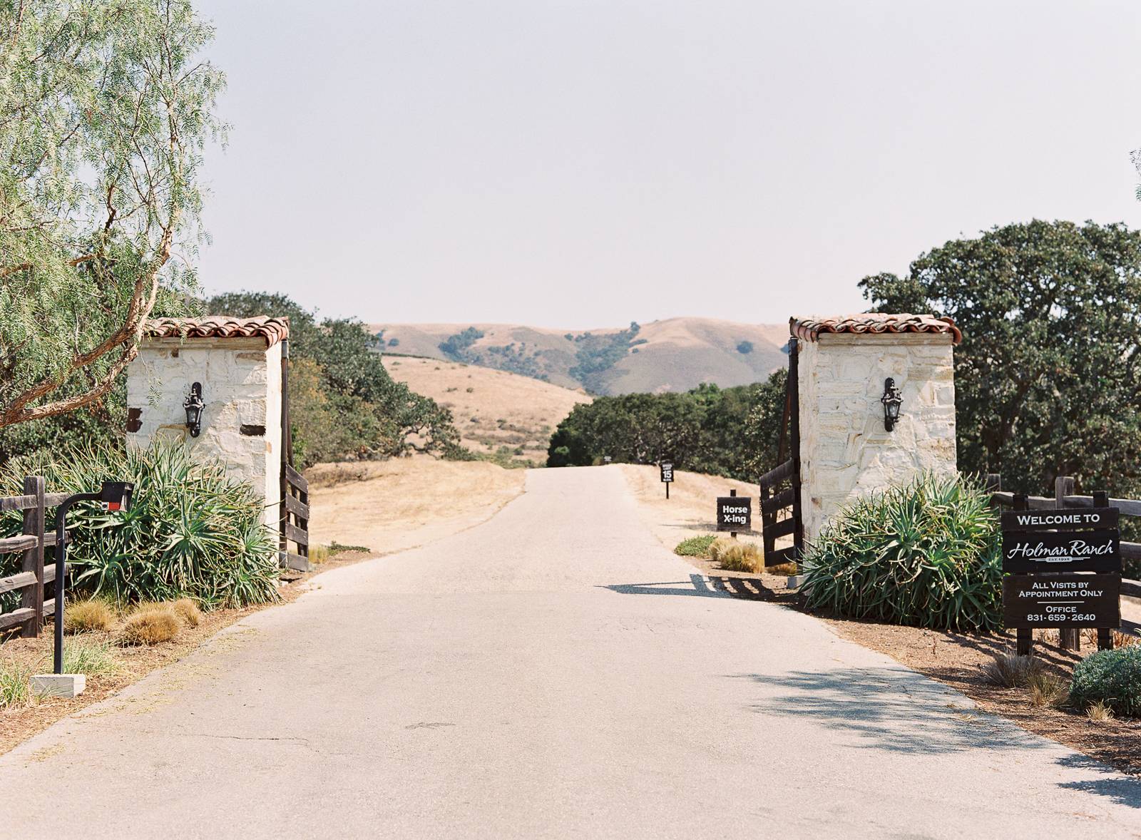 Stunning Carmel Valley wedding with meaningful and intentional details