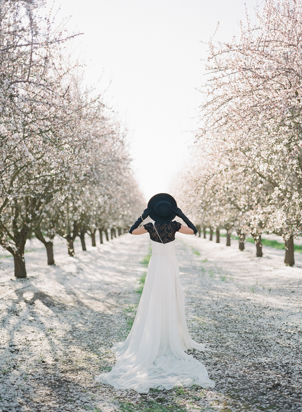 Romantic high fashion bridal inspiration in a blooming almond orchard ...