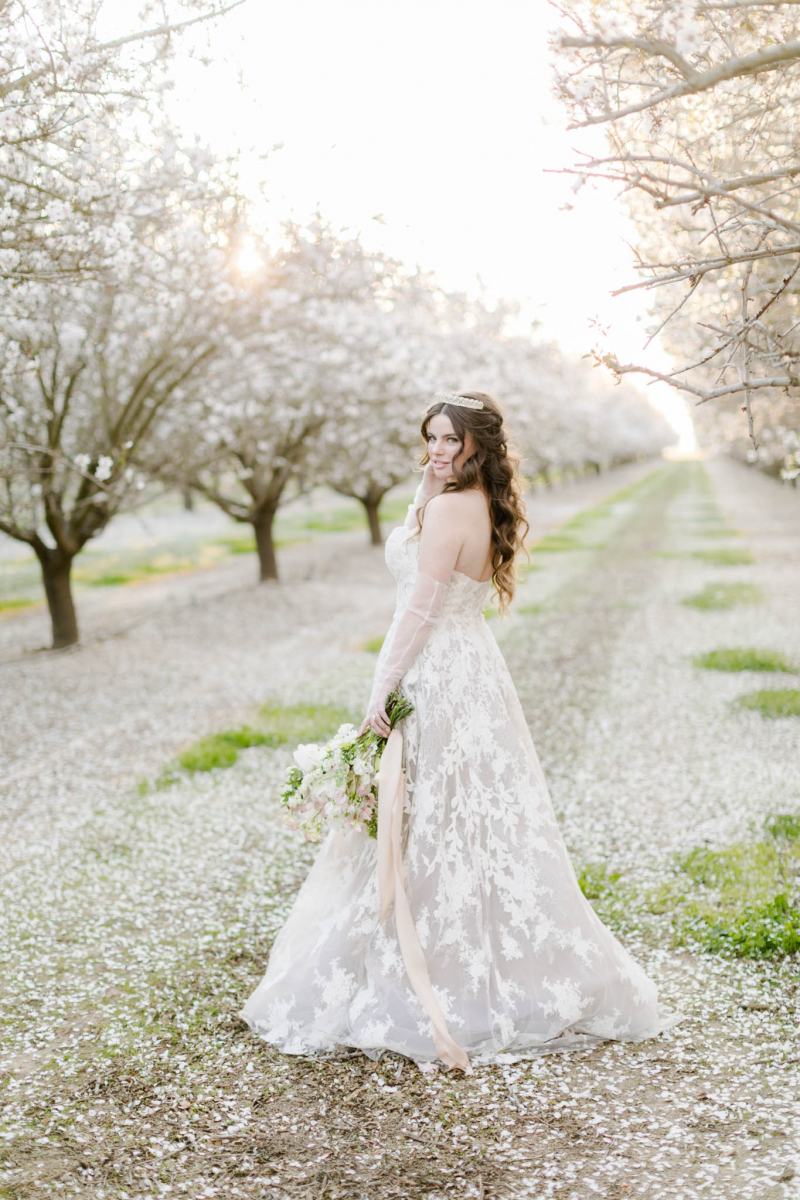 Channeling Bridgerton vibes with this bridal shoot in an Almond Orchard ...