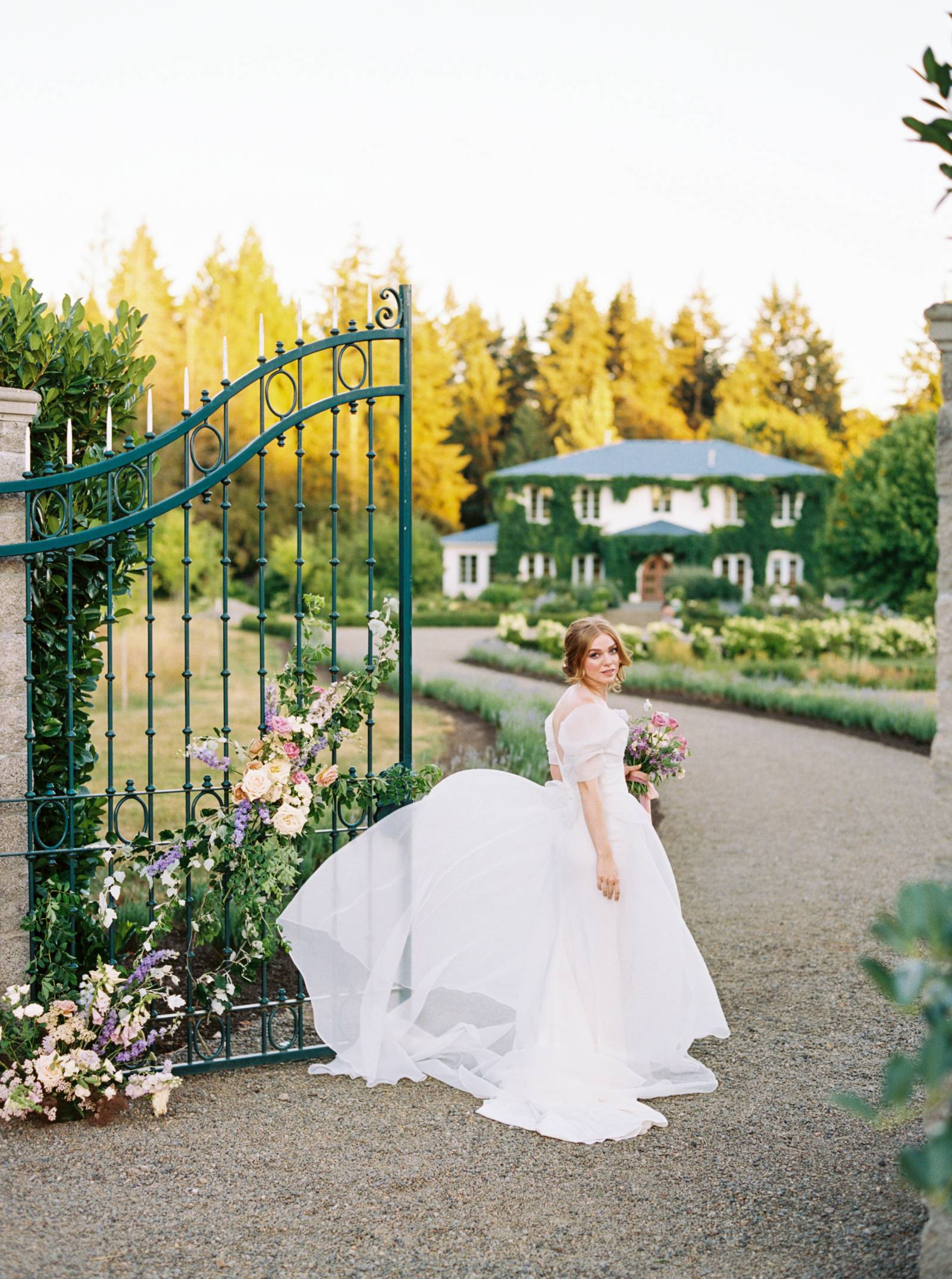 A picturesque summer Vineyard Editorial Inspired by Monet