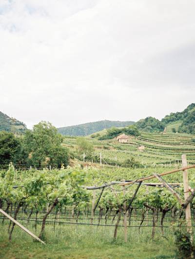 Italian Winery Wedding