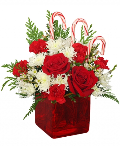 Candy Cane Cube Bouquet - Christmas Flowers by In Full Bloom Winnipeg