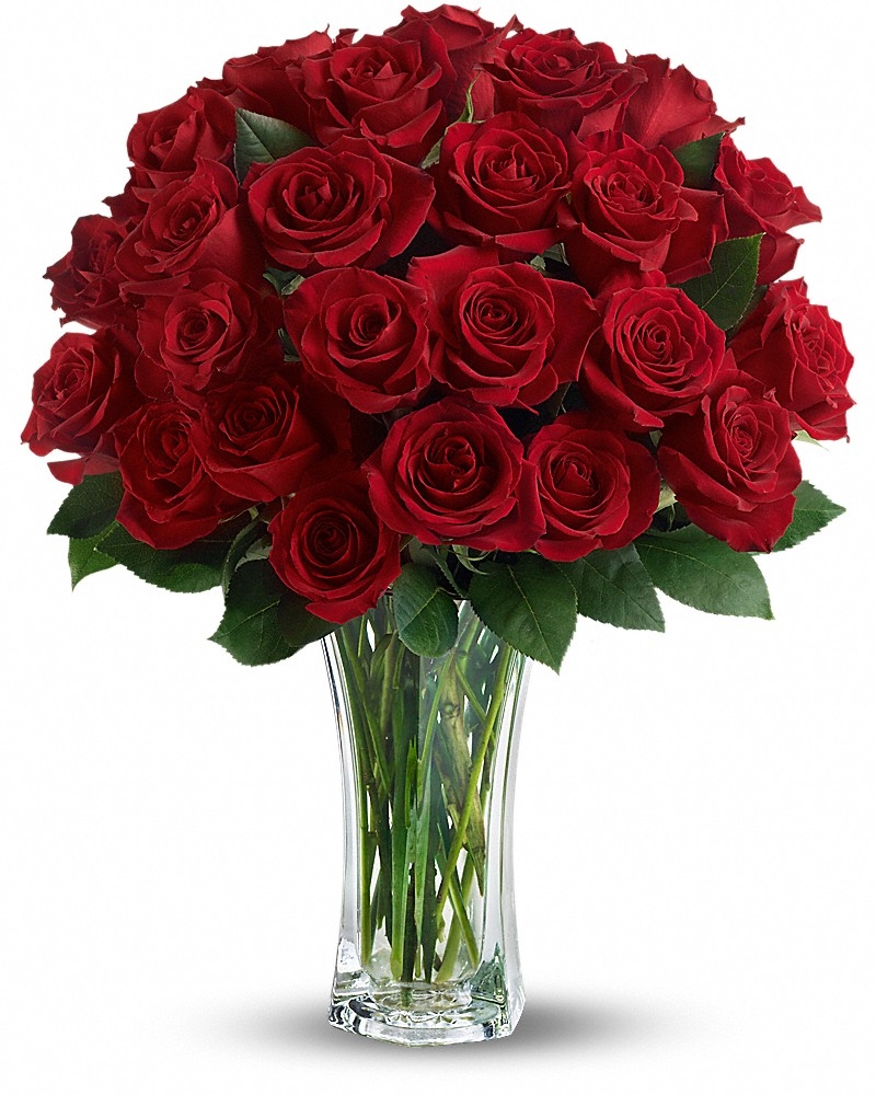 Love And Devotion - Long Stemmed Red Roses Bouquet  - Love & Romance Flowers by In Full Bloom Winnip