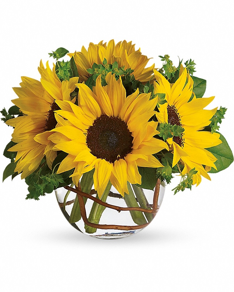 Sunny Sunflowers Bouquet  - Congratulations Flowers by In Full Bloom Winnipeg