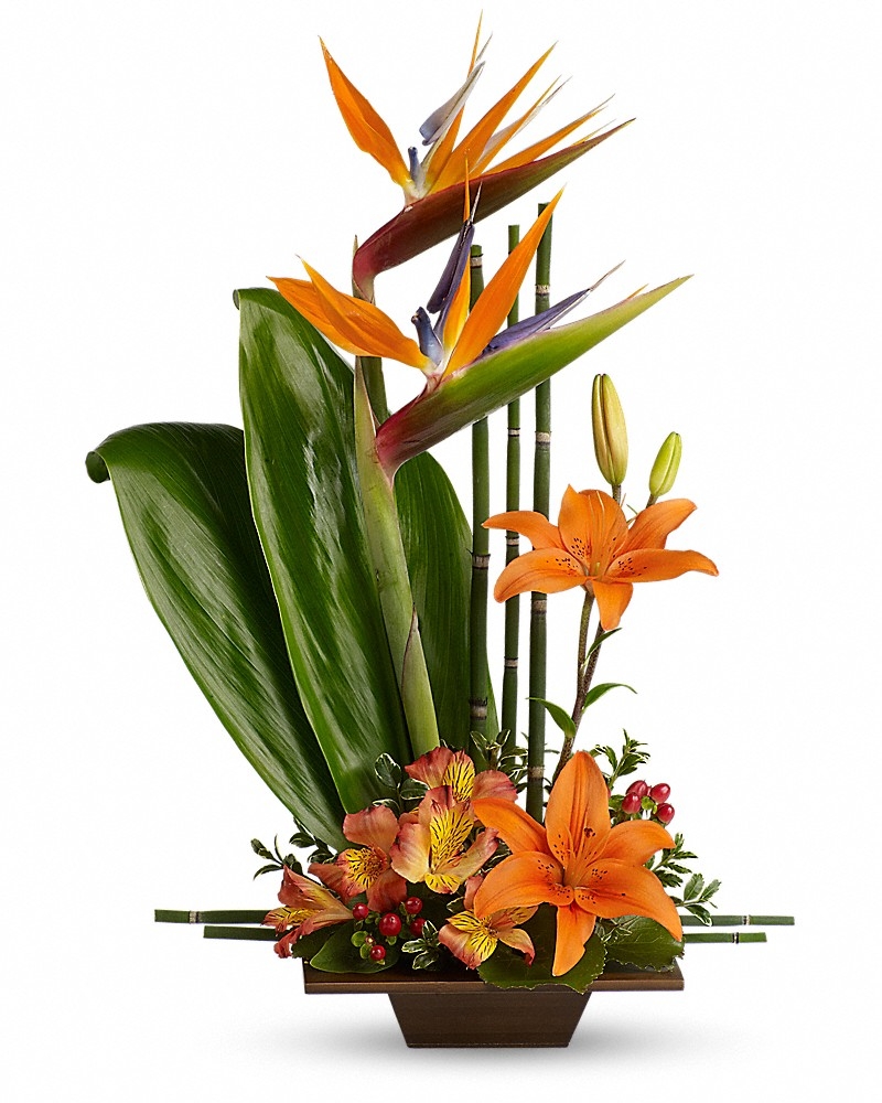 Exotic Grace Bouquet - Congratulations Flowers by In Full Bloom Winnipeg