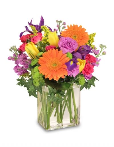 Celebrate Today Bouquet - Congratulations Flowers by In Full Bloom Winnipeg