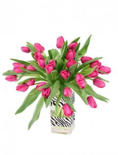 Hot Pink Tulip Arrangement Bouquet - Birthday Flowers by In Full Bloom Winnipeg