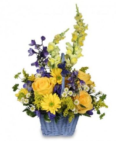 Fresh Air Basket Arrangement Bouquet - Congratulations Flowers by In Full Bloom Winnipeg