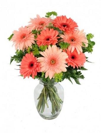 Beautiful Daises Bouquet - Love & Romance Flowers by In Full Bloom Winnipeg