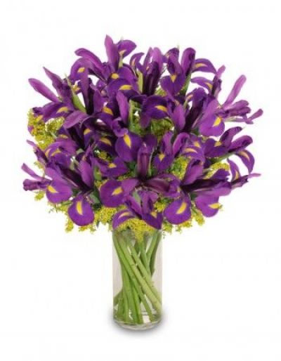 Purple Heart Iris Vase  -  Spring & Easter Flowers by In Full Bloom Winnipeg