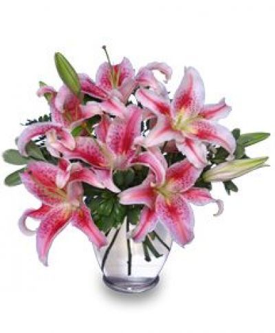 Stunning Stargazers Bouquet  - Anniversary Flowers by In Full Bloom Winnipeg