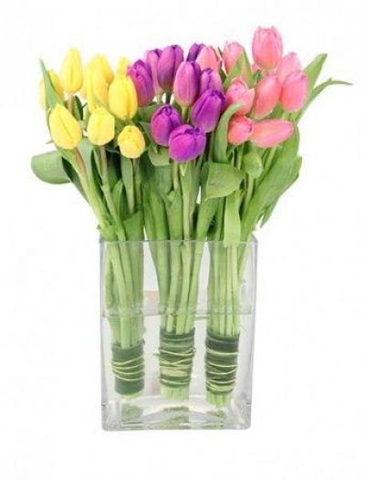 Tulip Trio Bouquet - Spring & Easter Flowers by In Full Bloom Winnipeg