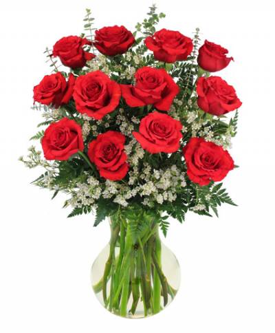 Valentine's Day Flowers Bouquet Winnipeg | IFB Florist