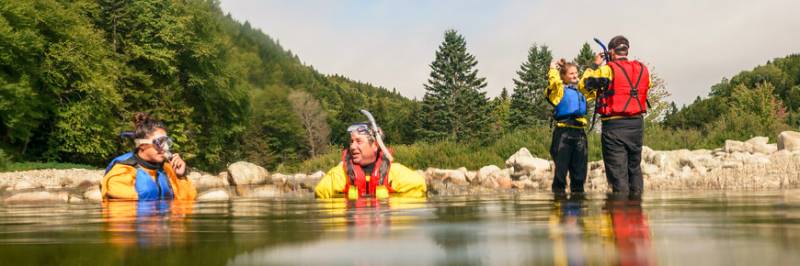 Swimming with the Salmon