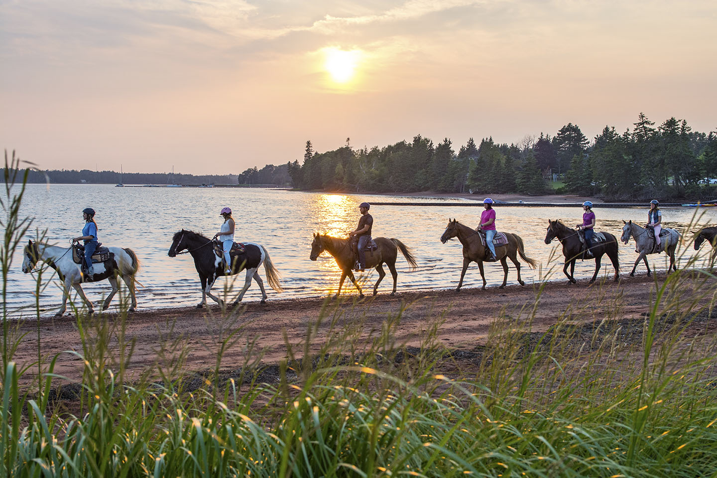 horseback riders along a beach at sunset