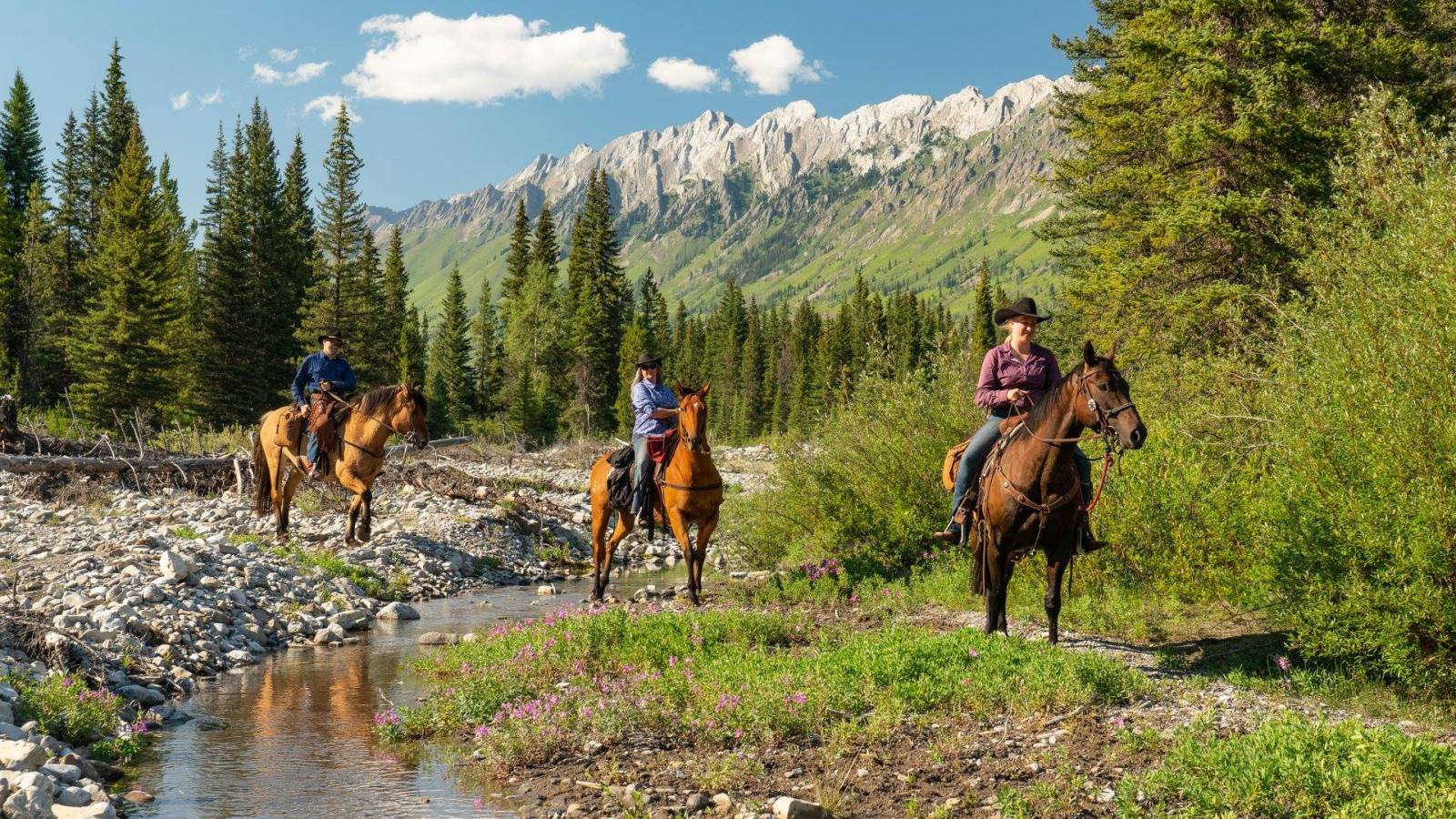 Trail Riders of the Canadian Rockies - A Legacy of Mountain Exploration and  Cowboy Culture | Alberta